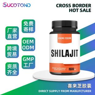 RdTK ϲ֥z Shilajit capsules ܛӲz NOEM