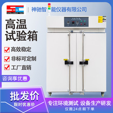 電熱鼓風干燥箱恆溫實驗室工業高溫烘箱烤箱雙開門熱風循環定金