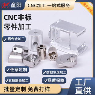 cnc܇ӹͯꖏS܊P䓷ǘ Cӹ