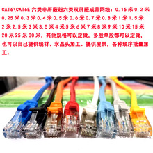 超五類六類無氧銅成品網線跳線0.2 0.25 0.3 0.5 0.7 0.8 1米m足
