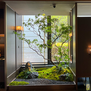 仿真馬醉木櫥窗造景植物室內高端仿生綠植裝飾樹大型假樹簡約景觀