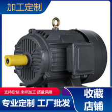 YE4-80M1-4P0.55/0.75/1.5KW三相異步交流電動機純銅馬達