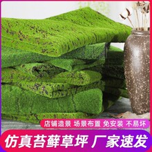 仿真苔蘚青苔造景仿生假草皮微景觀布置擺件草坪盆栽盆景鋪面裝飾