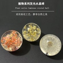 創意蒲公英干花標本水晶球樹脂天然木質工藝品擺件家居裝飾品禮物