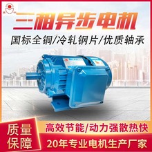 380v批發0.55kw六極三相異步電機960轉 銅線 YE80L-6機械設備配套