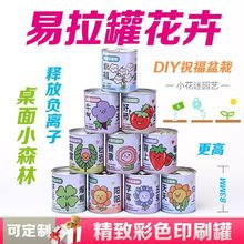 兒童節禮物易拉罐植物盲盒桌面小盆栽學生花卉綠植好養活種子盆栽