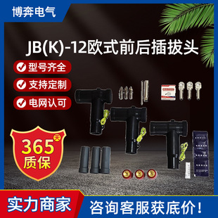 JBK-12/630AWʽ|ǰ|^֧Tͽ^10kv