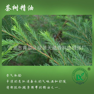 ޲侫 ޹owAustralian tea tree essential o