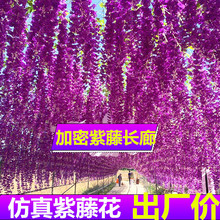 婚慶裝飾花條仿真花紫藤豆花網紅吊頂紫藤長廊批發長仿真紫藤花