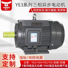 衡水電機廠家生產定制YE3-6極1.5-132KW高效三相異步電動機