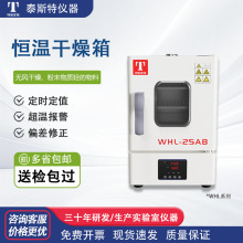 泰斯特干燥箱恆溫箱工業烤箱實驗烘箱廠家包郵包稅送貨上門