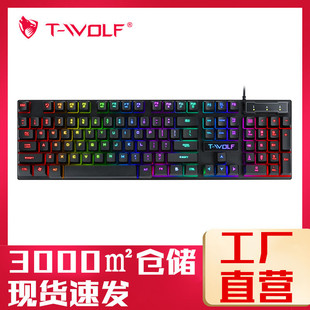 T-WOLFT20lΑIPZZUSBоIPҸʽ羳