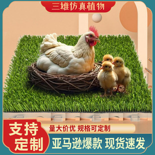 Chicken cushion羳ƺ 12Ӣu|  uC|  Rd݉|