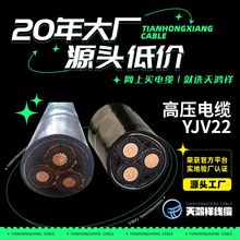 大量批發生橡皮套管電纜 紫銅線高壓架空電線YJV22 3*50質量優良