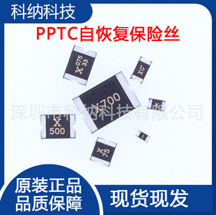 PPTC 0603 0.5A NƬԻ֏ͱUz SMD 500mA 6V 8V 12V 16V