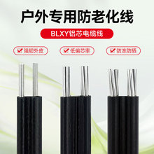 鋁芯防老化電線 國標鋁線2芯 6 10 16 25 35平方平行集束導電纜線