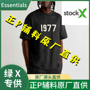 GX¿ԭSEssentials1977ʿTFOGִ߽ĿAI