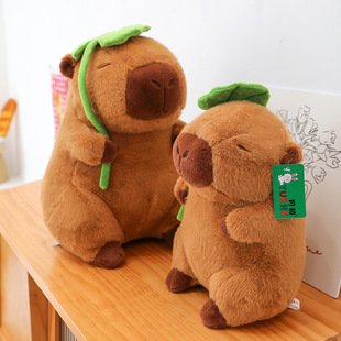 ɐۿƤëq߿羳ˮ๫capybara~ˮͯż