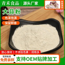 脫水大蒜粉 現貨供應燒烤調味腌料大蒜粉 食品調味粉腌肉蒜香粉