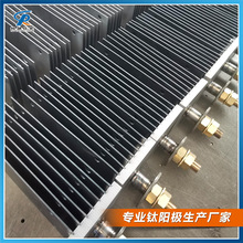 寶雞供應 板式次氯酸鈉鈦陽極 釕銥鈦電極 各類尺寸鈦電極可定制