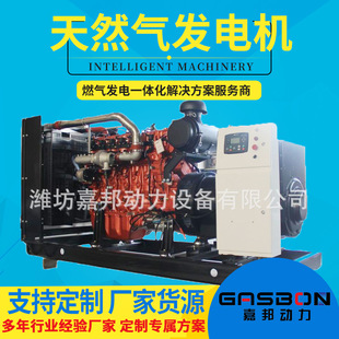 Sôʰl늙CM l늙C 100 200 300 500 800kw