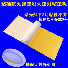 粘捕式滅蚊紙滅蠅燈粘紙滅蚊燈粘蟲板粘蠅紙臭蟲貼陷阱飛蟲小飛蛾
