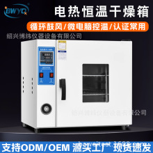 廠家直銷電熱恆溫鼓風干燥箱烘干機小型高溫工業用烤箱商用實驗室