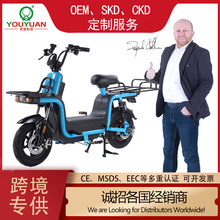 批發載重王電車拉貨電動車外賣送餐電瓶車長跑電動摩托車