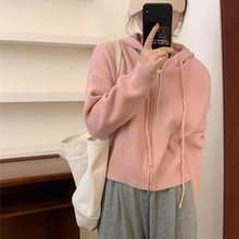 韓版連帽雙拉鏈短款小個子毛衣女2024秋冬新款休閑簡約風針織開衫