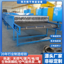 小型網帶熱風烘干機單層隧道式全自動通用干燥機工業烘干設備定制
