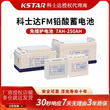 科士達蓄電池6-FM-100/12V100AH鉛酸免維護UPS直流屏不間斷電源EP
