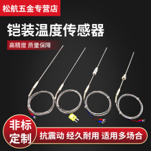 K型熱電偶WRNK-191耐高溫鎧裝熱電偶可彎曲溫度傳感器PT100/J/N/T