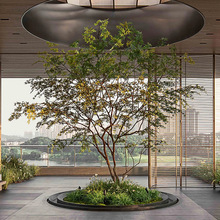 假樹仿真樹室內仿真綠植景觀楓樹櫥窗造景植物組合落地盆栽裝飾