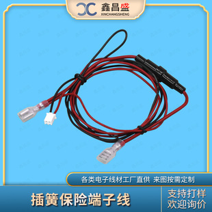 定制4.8插簧連接線 電機內線束 6*30黑色外殼螺旋式保險管座帶線