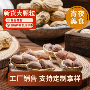 2025新貨白沙特產花生帶殼水煮蒜香口味下酒菜小零食