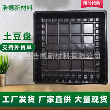 土豆盤移栽盤批發PET特大號正方形育苗盤馬鈴薯專用育苗盤種植盤