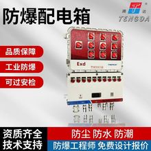BXM(D)53-6K 回路DZ4763A小型防爆配電箱  防爆非標電氣接線箱子