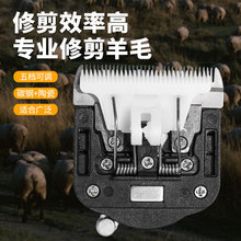 跨境推子刀頭5檔調節電推剪刀頭長毛兔電推刀頭寵物剪刀頭羊毛剪