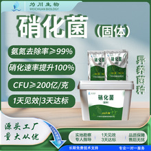 污水處理菌種氨氮去除硝化菌好氧菌好氧池曝氣池異養硝化菌固體