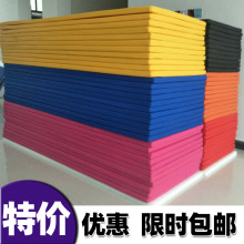 廠供兒童舞蹈練功墊仰卧起坐墊健身運動訓練墊子防水皮革舞蹈墊