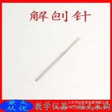 教學儀器解剖針14cm 解剖工具 生物實驗器材 直頭昆蟲解刨針工具