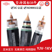 廠家供應 電力電纜YJV-1kV 多種規格可選 國標銅芯電纜電纜線