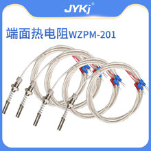 WZPM-201軸瓦測溫探頭 端面熱電阻 PT100溫度傳感器鉑電阻