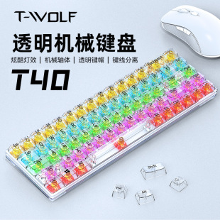 T-WOLFT40͸CеIP68IRGB늸ΑƻˮtS