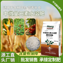 現貨供應中量元素水溶肥料果蔬花卉肥料水產養殖七水硫酸鎂顆粒