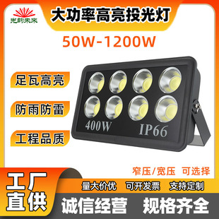 LED۹Ͷˮ800W1000WVͶ