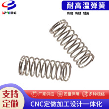 廠家供應拉伸彈簧 2205材質高耐腐蝕海水環境壓簧 雙向不銹鋼彈簧