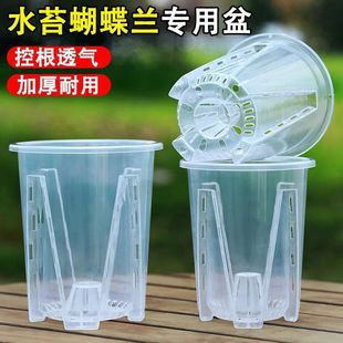花盆蝴蝶蘭水苔透明控根盆鏤空花盆塑料家用蘭花大號透氣青山