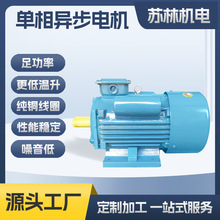 廠家批發定制加工單相電機鐵殼雙電容閩東款YCL單相異步電動機