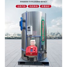和盛鍋爐0.2噸立式燃油燃氣蒸汽發生器 洗滌廠用燃油鍋爐 燃液化0